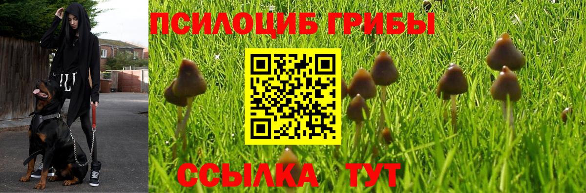 Псилоцибиновые грибы Magic Shrooms Великий Устюг