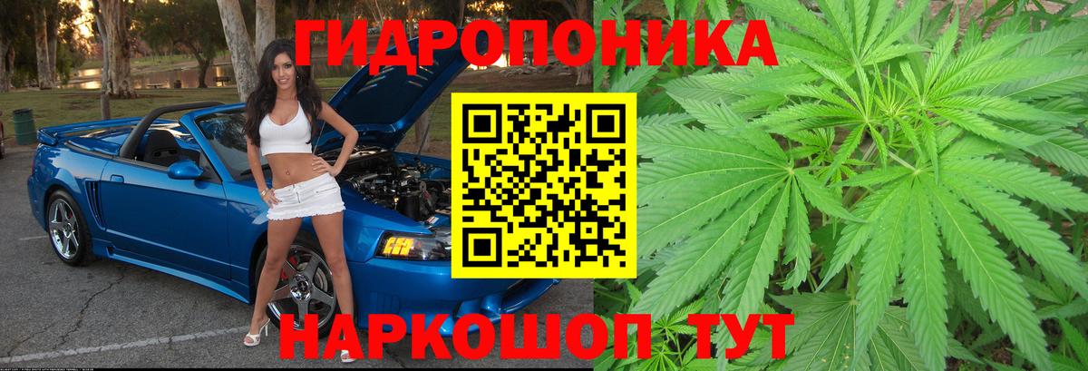 Бошки марихуана сатива Великий Устюг