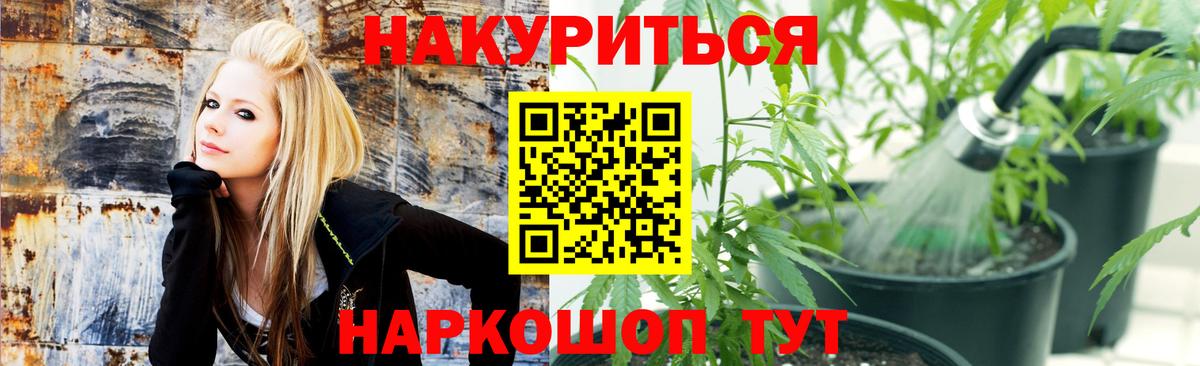 Бошки марихуана MAZAR  Шишки марихуана THC 21%  Великий Устюг  Канабис Amnesia  Вход с VPN  Бошки Шишки марихуана 